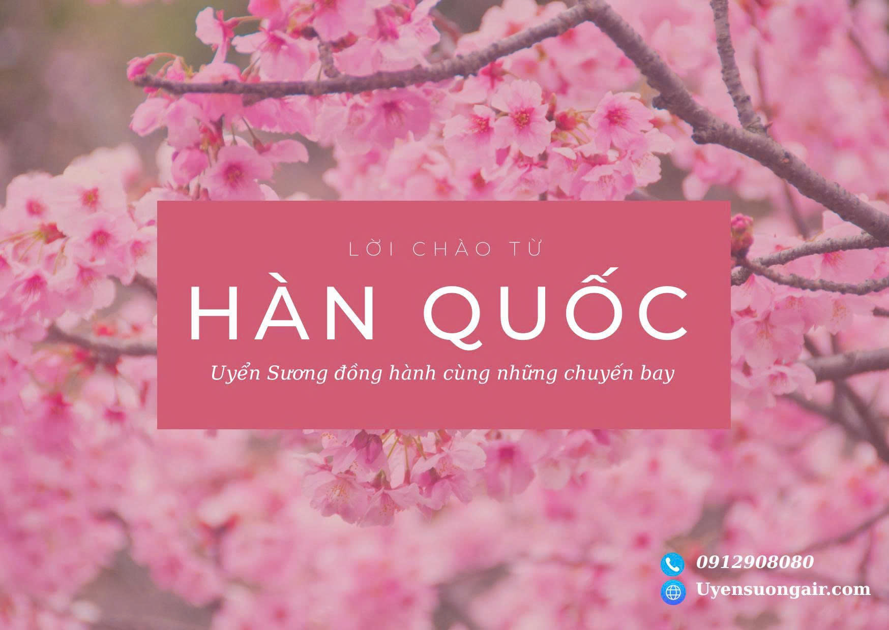 ✈️ Vé Máy Bay Đi Hàn Quốc 2026 – Săn Giá Rẻ, Check-in Mùa Hoa Anh Đào